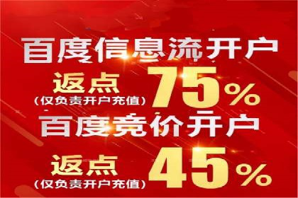 百度竞价包年推广的典型案例与效果展示